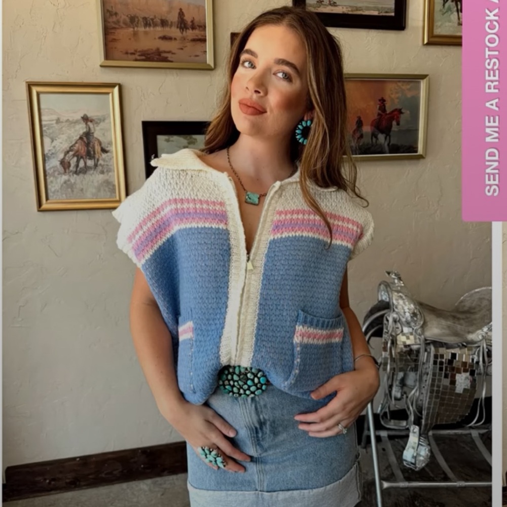 Women's Blue and Pink Sweater Vest